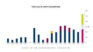 Graph of debt maturity profile